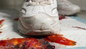 萌棠斯凯奇金鱼画-97LZTD-8343095