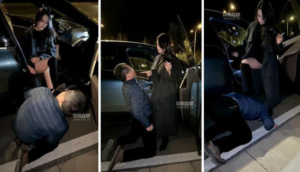 【水晶熊】户外遛狗犬化-97LZTD-8344705