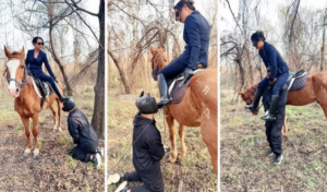 【爱丽丝】户外训化马奴-97LZTD-8344740