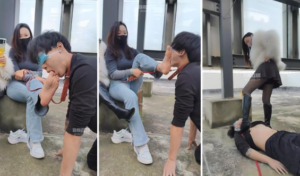 【咩祖】双S-户外遛狗犬化【双视角版】-97LZTD-8344757