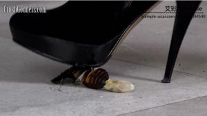 高贵皮草高挑美女大长靴踩爆多汁虫子