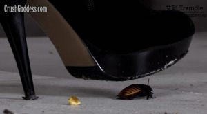 高贵皮草高挑美女大长靴踩爆多汁虫子