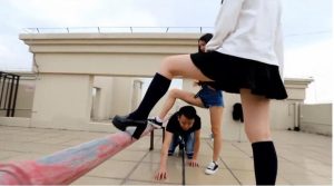 〖H.P.L栖心之栈〗—天台花式戏谑