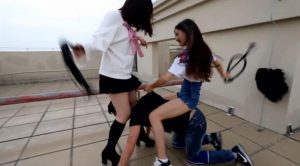 〖H.P.L栖心之栈〗—天台花式戏谑