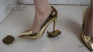 茉莉鞋跟把乌龟壳跺烂
