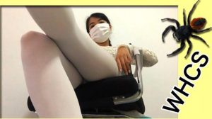 漂白色蕾丝，白色板鞋，白色丝袜