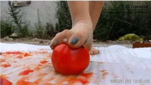 帆布鞋少女VS西红柿