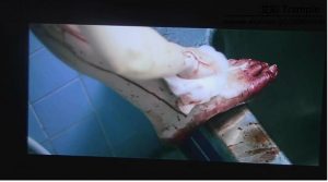 【日本电影】2018富美子の足 录制版