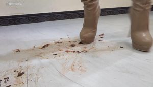 01 BridgetCrayfish (part1)