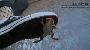 Helga Li 棉袜帆布鞋跺碾小青蛙