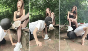 【星航】户外犬化跟踪狂-97LZTD-34921