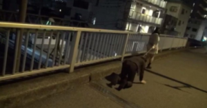 【yapoo新片】ZRND-14资深大叔M大街认主被狠虐-97LZTD-35881