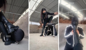 【77夫妻】人形犬训化场地-97LZTD-35901