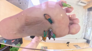 【GTS-VR】花季少女の靴底之城