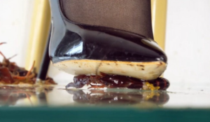 病娇女青泽高跟黑丝Crush小龙虾 特写-97LZTD-36104