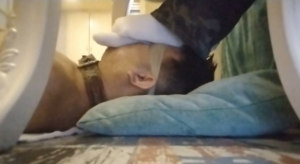 软妹子残酷脚教育-97LZTD-36106