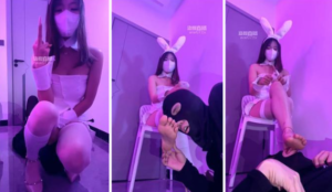 【白鹭】开发兔女郎做S-97LZTD-36600