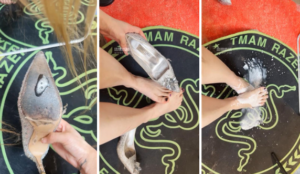 【第一视角】【小羊】带着你们老婆进来-97LZTD-46705