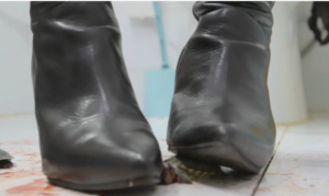 多米高跟靴子母子剧情crush大龟下-97LZTD-46731