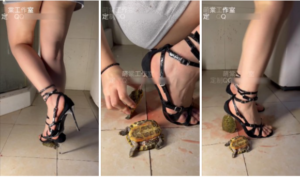 凉鞋踩龟-97LZTD-46770